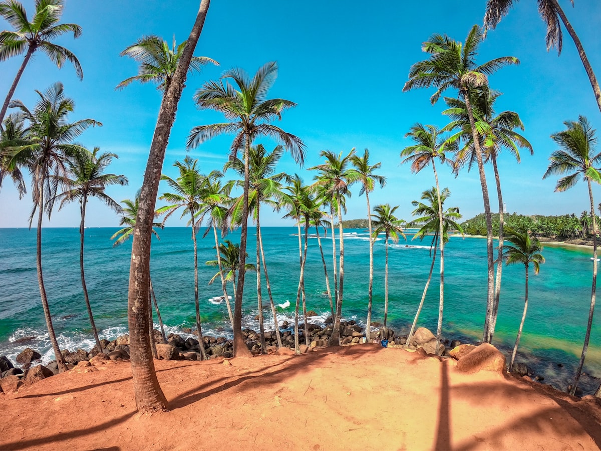 Coconut Tree Hill, Mirissa
